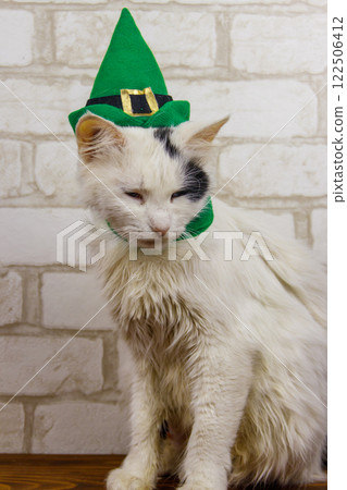 Portrait of beautiful cat wearing a green leprechaun hat. St. Patrick's Day concept 122506412