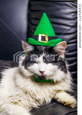 Portrait of beautiful cat wearing a green leprechaun hat in a black leather armchair. St. Patrick's Day concept 122506435