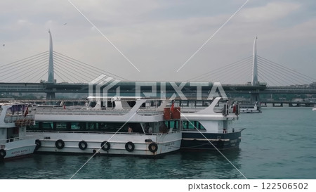 Moored White Ferries with Passengers Under a Modern Cable-Stayed Bridge 122506502