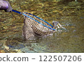 Area Trout 122507206