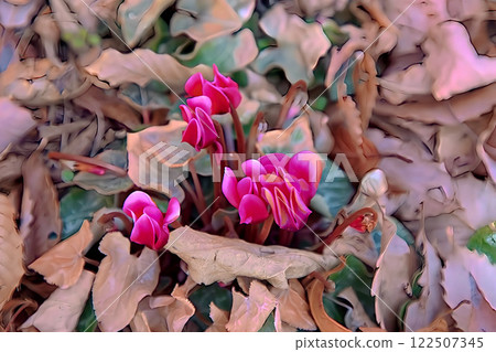 Cyclamen Cyclamen 122507345