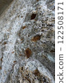 Stone Poem: A Study of Textures 122508171