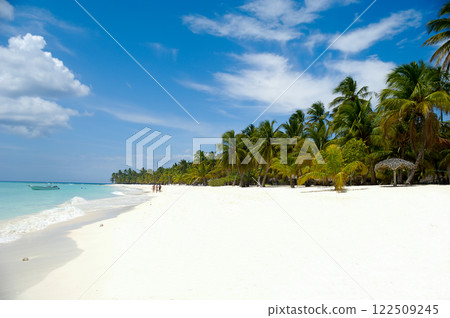 Tropical beach with palm and white sand 122509245