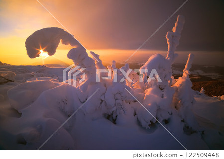Incredible winter landscape in snowy mountains glowing by morning sunlight 122509448