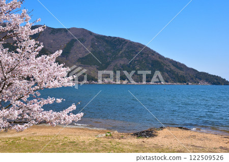 Cherry blossom view Kaizu Osaki 122509526