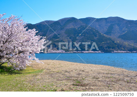 櫻花視圖Kaizu Osaki 櫻花視圖Kaizu Osaki 122509750