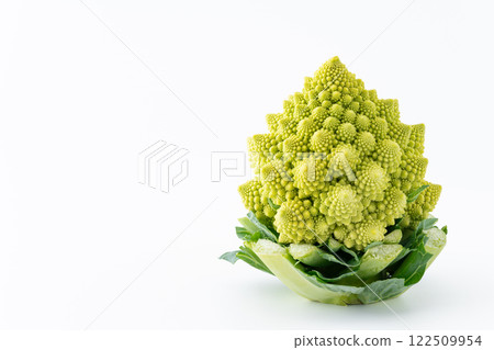 Romanesco on white background Romanesco on white background 122509954
