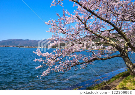 櫻花視圖Kaizu Osaki 櫻花視圖Kaizu Osaki 122509998