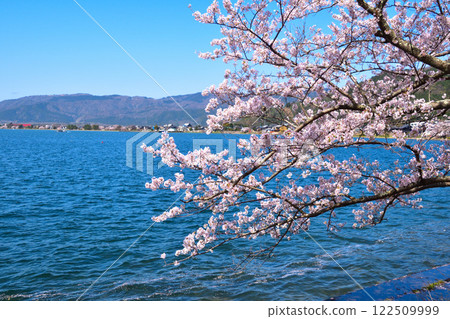 櫻花視圖Kaizu Osaki 122509999