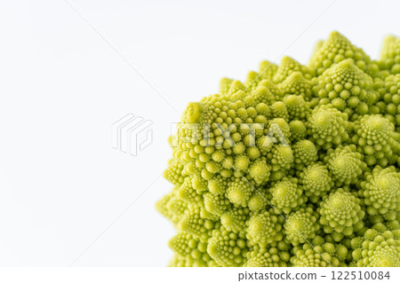 羅馬花椰菜花蕾特寫 122510084