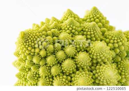 羅馬花椰菜花蕾特寫 122510085