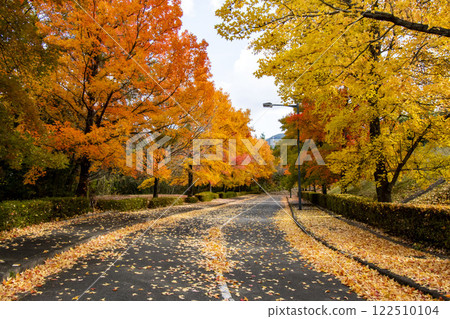 Autumn leaves of Green Hill Gohara's Taiwan Fuu Autumn leaves of Green Hill Gohara's Taiwan Fuu 122510104