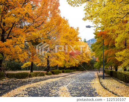 Green Hill Gohara's Taiwan Fuu 的秋葉 122510107