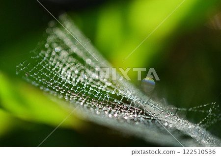 A close-up of a spider web shining with water droplets A close-up of a spider web shining with water droplets 122510536