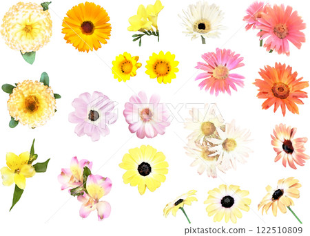 Spring flower illustration material set (pink and yellow) 122510809
