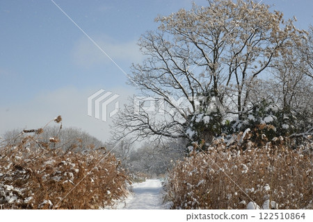 昨晚雪停後的早晨風景 岐阜縣立毛 昨晚雪停後的早晨風景 岐阜縣立毛 122510864