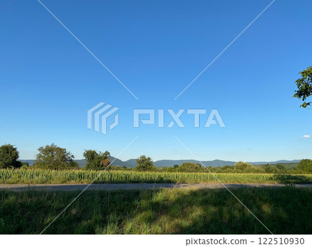 Field of corn is visible in the distance with a clear blue sky above 122510930