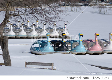 Swan boats hibernating together on a frozen lake 122511057
