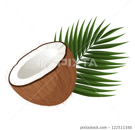 Half of Fresh Coconut Showing White Pulp and Palm Leaf Half of Fresh Coconut Showing White Pulp and Palm Leaf 122511380