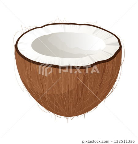 Half of coconut showing white flesh and brown hairy shell on white background Half of coconut showing white flesh and brown hairy shell on white background 122511386
