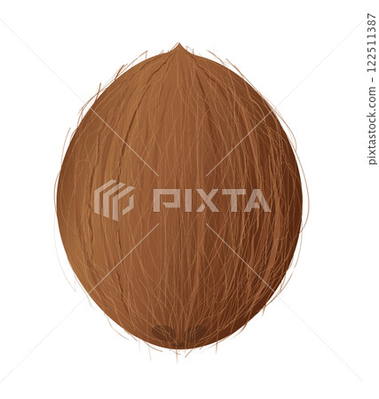 Whole coconut fruit showing its fibrous husk isolated on white background 122511387