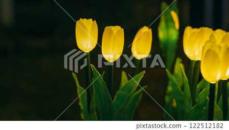 Beijing, China. Zigong Lantern Festival In Beijing. Amazing Glowing Lanterns In Form Of Lighting Yellow Tulips. Lantern Festival In Beijing Garden Expo Park. National Intangible Cultural Heritage Of 122512182