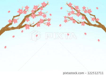 櫻花枝（粉紅色）在藍天映襯下閃閃發光 122512711