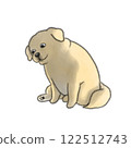 Depressed dog 122512743