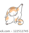 Cat grooming 122512745