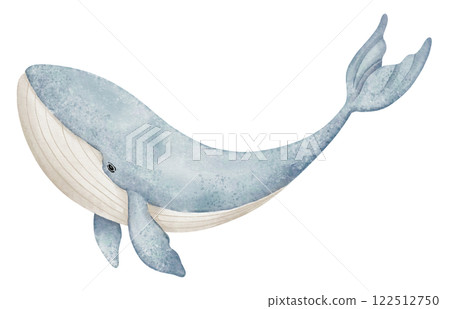 Watercolor illustration of Whale in pastel blue colors for nursery wall art or kids greeting cards. Drawing of underwater mammal animal for Baby shower invitations or childish room posters. Watercolor illustration of Whale in pastel blue colors for nursery wall art or kids greeting cards. Drawing of underwater mammal animal for Baby shower invitations or childish room posters. 122512750