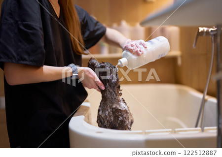 Grooming session for small dog in a spa setting at a pet salon 122512887