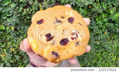 Hand Holding Delicious Cookie Surrounded by Greenery Background Hand Holding Delicious Cookie Surrounded by Greenery Background 122513024