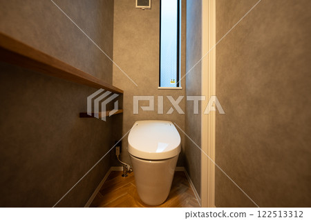 Fashionable new toilet 122513312
