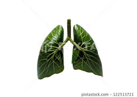 Lungs made out of green leaves, vibrant green on transparency background PNG 122513721