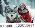 Little Red Riding Hood harnessed gray wolf to sleigh in snowy winter. 122513947