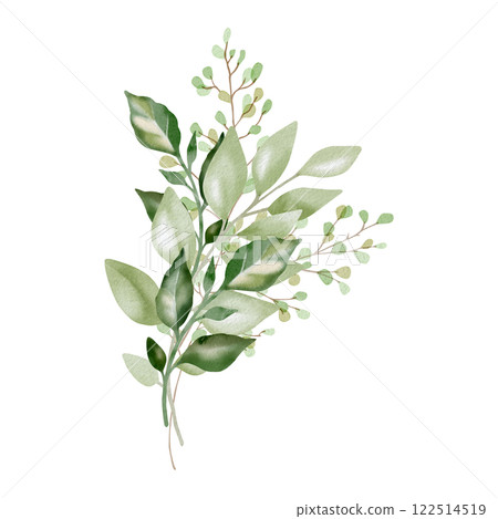 Hand-drawn watercolor illustration of elegant eucalyptus branches with lush, aromatic leaves. Perfect for wedding invitations, botanical prints, minimalist home decor, romantic greeting cards. Hand-drawn watercolor illustration of elegant eucalyptus branches with lush, aromatic leaves. Perfect for wedding invitations, botanical prints, minimalist home decor, romantic greeting cards. 122514519