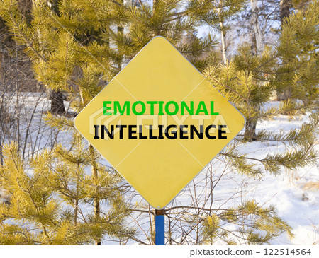 EI emotional intelligence symbol. Concept words EI emotional intelligence on yellow road sign. Beautiful forest snow sky background. Business psychology EI emotional intelligence concept. Copy space EI emotional intelligence symbol. Concept words EI emotional intelligence on yellow road sign. Beautiful forest snow sky background. Business psychology EI emotional intelligence concept. Copy space 122514564