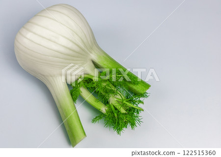 Fresh fennel vegetable root. Healthy eating and diet concept 122515360