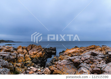 Coast line of sea. Stones covered with yellow and green moss and cloudy sky. Coast line of sea. Stones covered with yellow and green moss and cloudy sky. 122515390