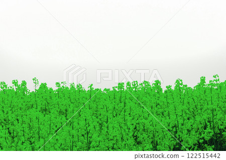 Background with flowers on white and place for text 122515442