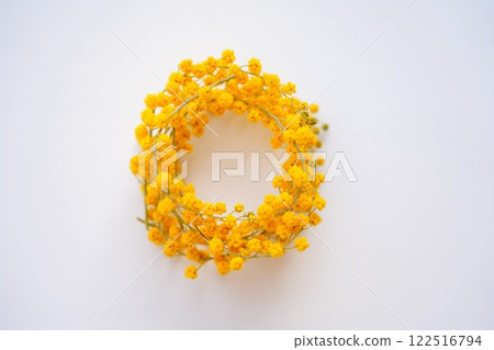 含羞草租約 122516794