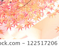 Autumn leaves 122517206