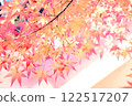 Autumn leaves 122517207
