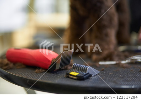 Dog grooming session with clippers and tools on a workstation 122517294