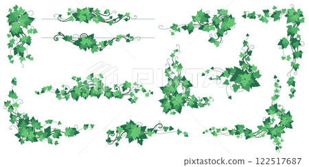 Vine jungle plant. Liana vegetation, tree creeper, twig climber ivy. Forest green garden. Nature leaf in park. Border foliage. Botanical decorative isolated frame. Wedding decor. Vector illustration Vine jungle plant. Liana vegetation, tree creeper, twig climber ivy. Forest green garden. Nature leaf in park. Border foliage. Botanical decorative isolated frame. Wedding decor. Vector illustration 122517687