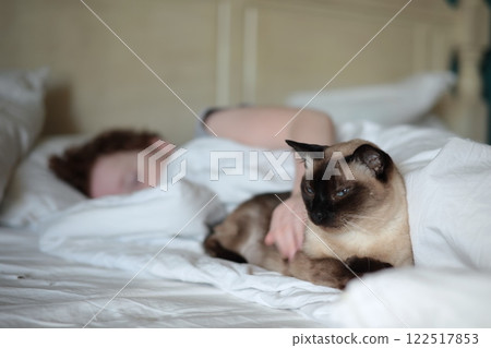 Mekong bobtail cat lies next to child. Calmness and comfort next to your pet. Pedigree cat. 122517853