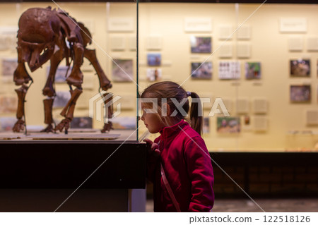 The child is a cute girl explores the Museum of Natural History, fascinated by the exhibition of the skeleton of dinosaurs, participating in paleontology and experiences a thrill from the museum. 122518126