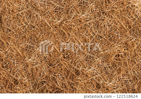 Dried Grass Surface with Organic Brown Tones as a Background 122518624