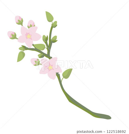 blossoming  apple tree branche with pink flowers and bud 122518692
