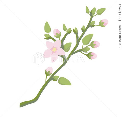 blossoming  apple tree branche with pink flowers and bud 122518693